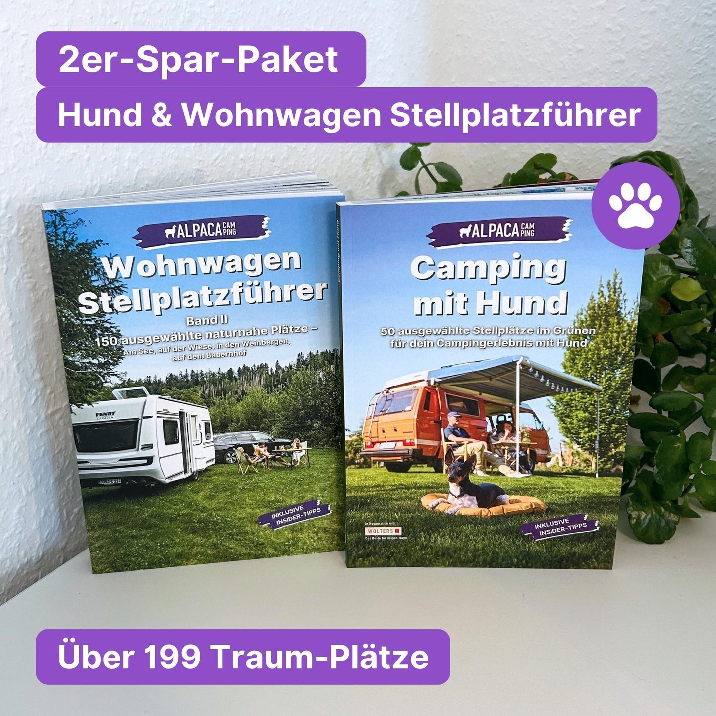 Wohnwagen Geheimtipps + Hund