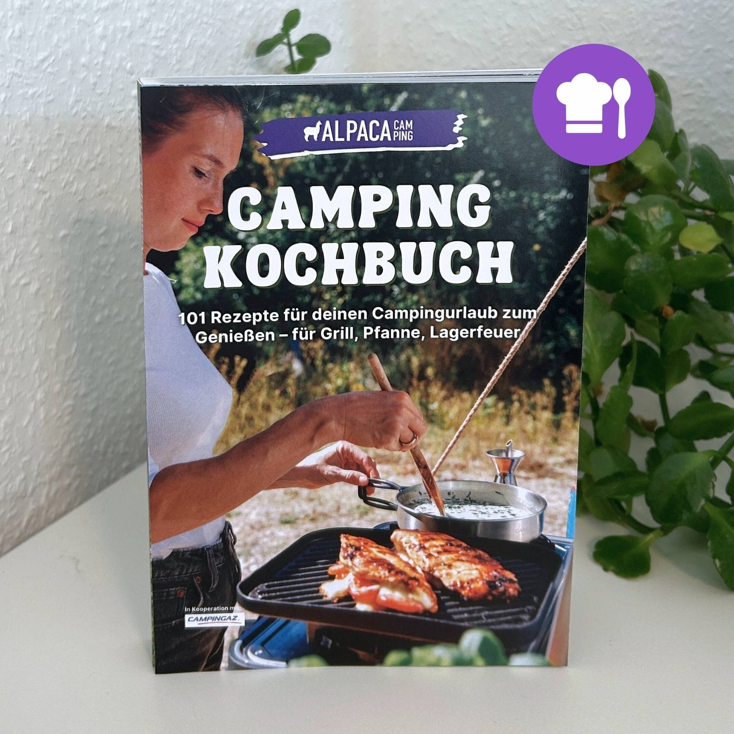 Zelt Reiseführer + Kochbuch