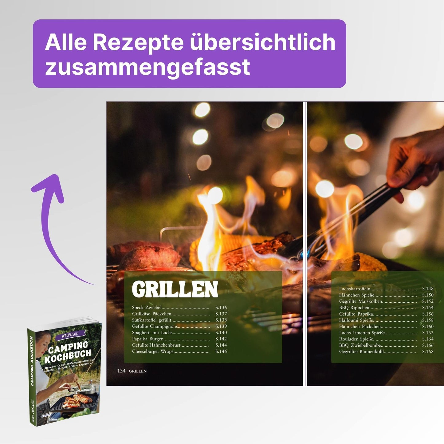 Zelt Reiseführer + Kochbuch