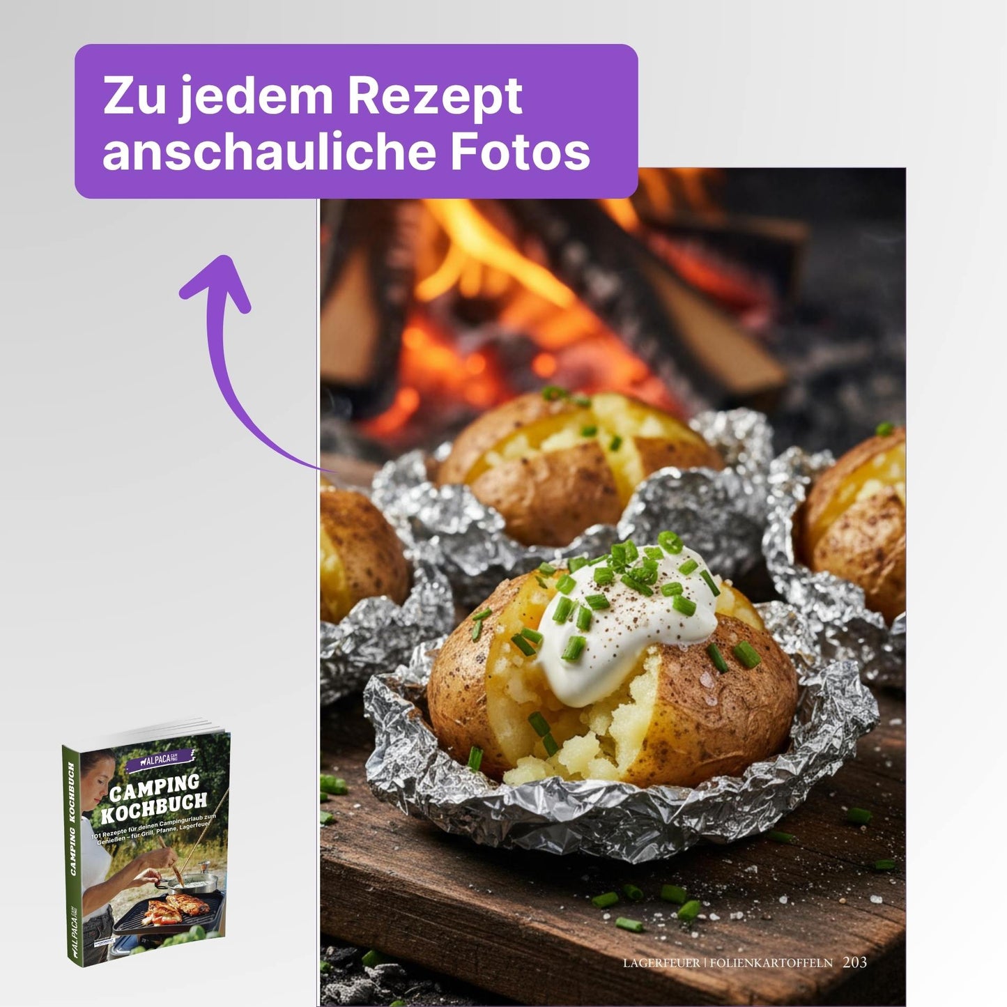 Zelt Reiseführer + Kochbuch