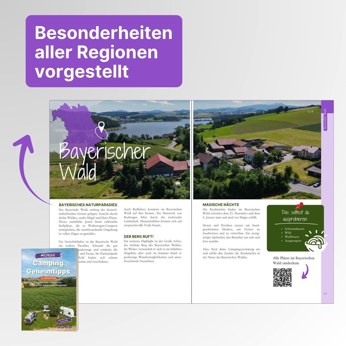 Deine Geschenk Auswahl (Club)
