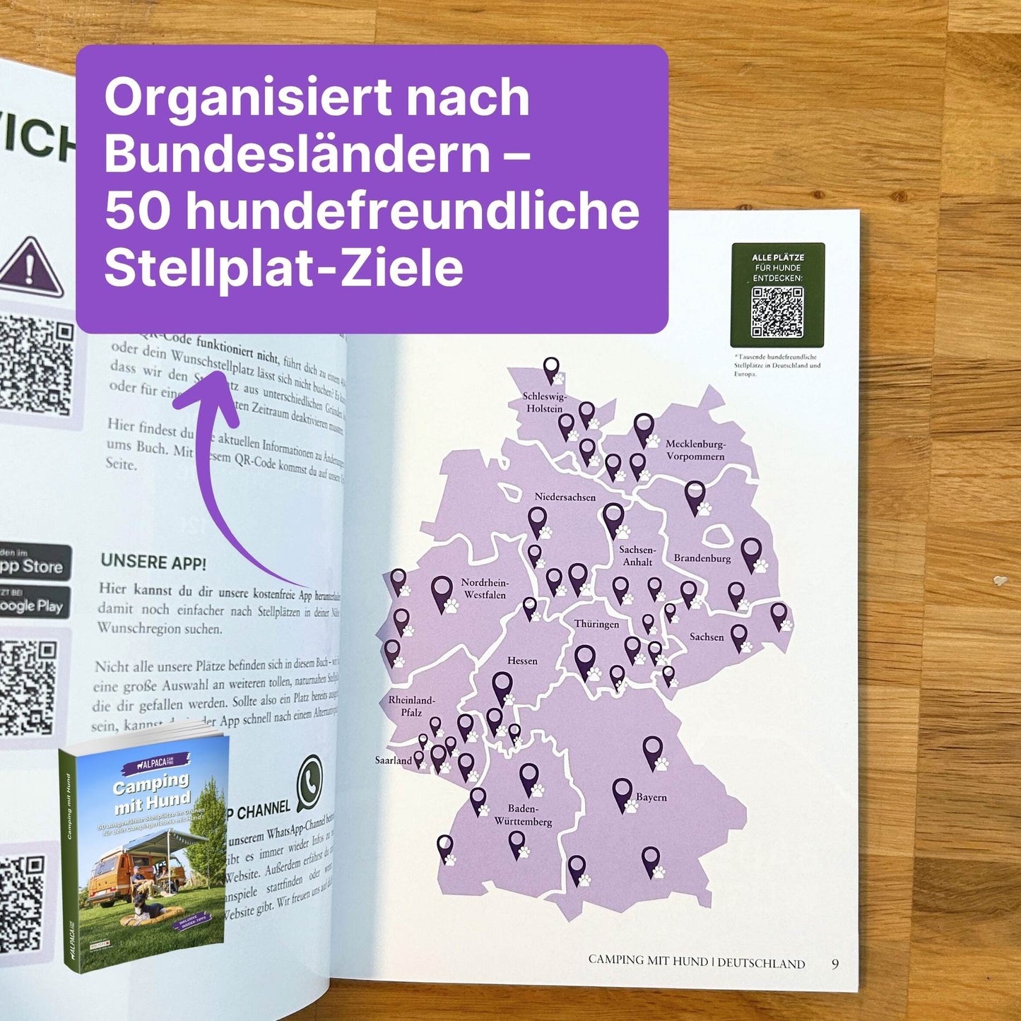 Dachzelt Reiseführer + Hund